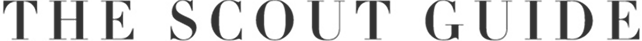 The Scout Guide